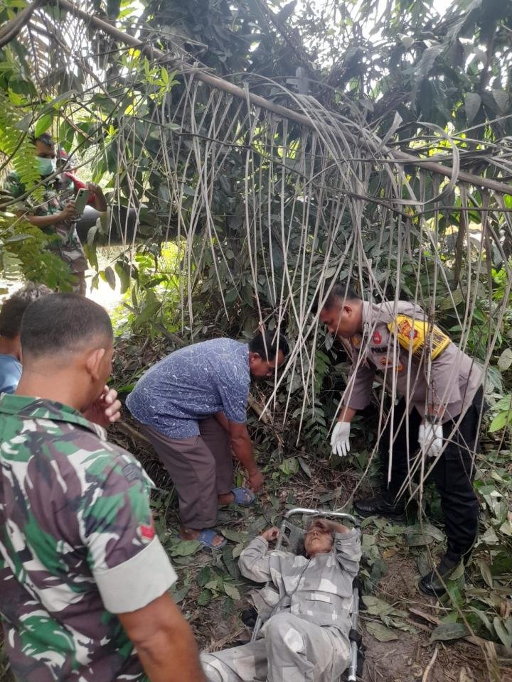 Wanita Tanpa Identitas Ditemukan Tak Berdaya di Kebun Sawit